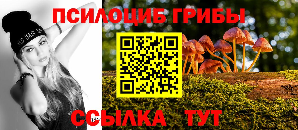 Псилоцибиновые грибы мицелий Сыктывкар