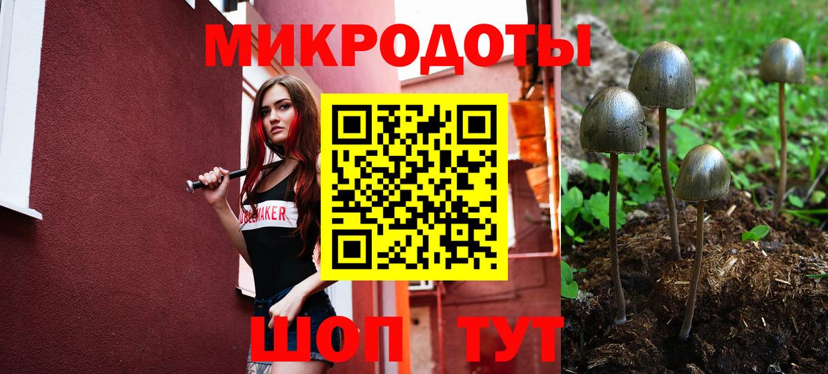 Галлюциногенные грибы мицелий  Вход с VPN  Галлюциногенные грибы мицелий  Сыктывкар 